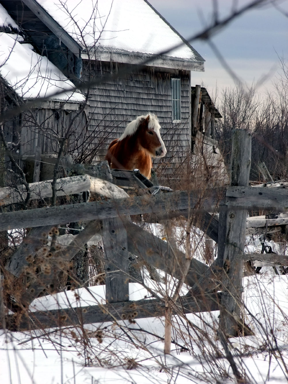 Maine Is Small Quaint Farms