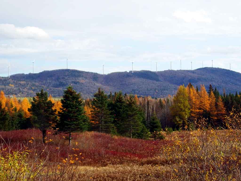 Lot 23b Fort Road, Mars Hill Maine Mooers Realty