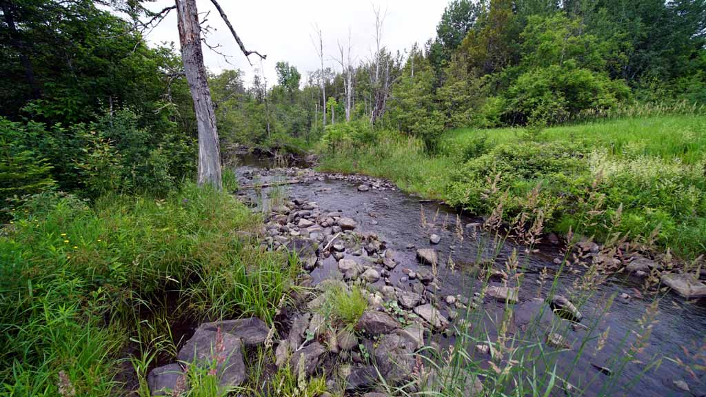 102 Cooks Brook Road, Houlton Maine Mooers Realty