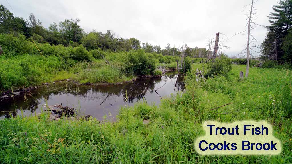 102 Cooks Brook Road, Houlton Maine Mooers Realty