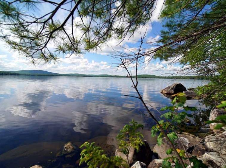 150 South Shore Road Linneus Maine Mooers Realty