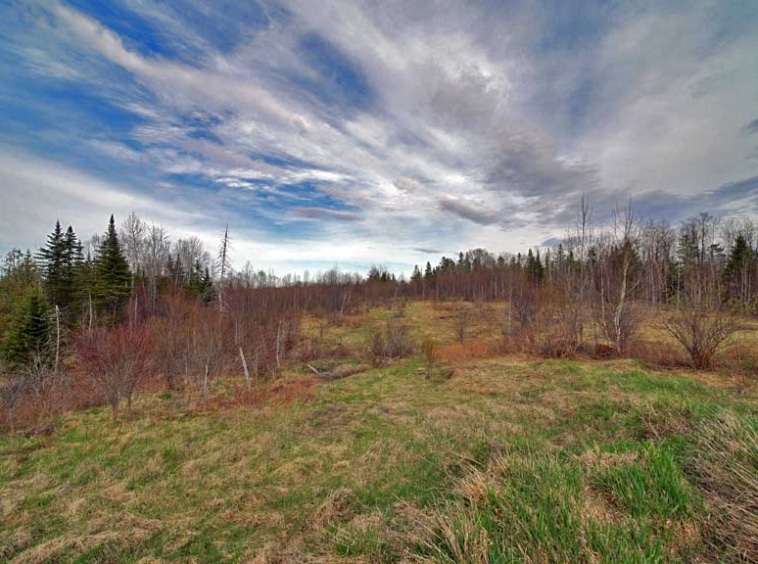 299 Lycette Road Amity Maine Mooers Realty