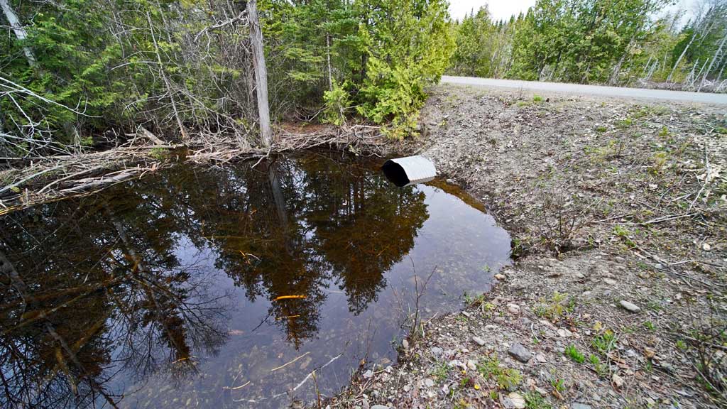 299 Lycette Road Amity Maine Mooers Realty