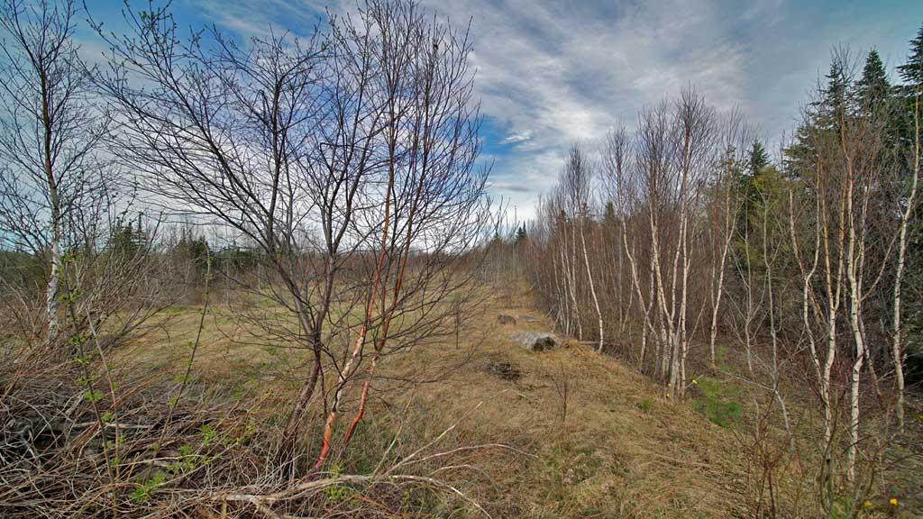 299 Lycette Road Amity Maine Mooers Realty