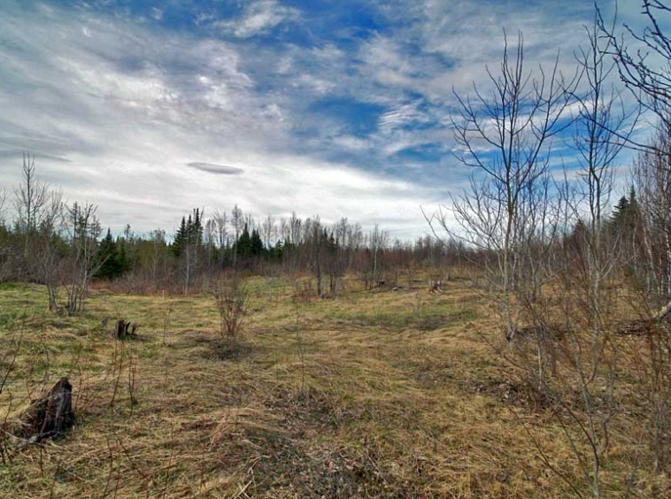 299 Lycette Road Amity Maine Mooers Realty