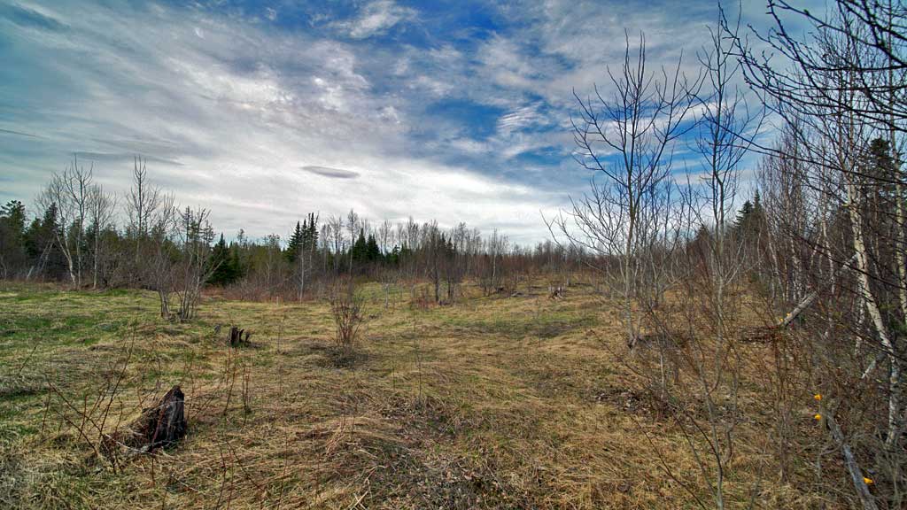 299 Lycette Road Amity Maine Mooers Realty