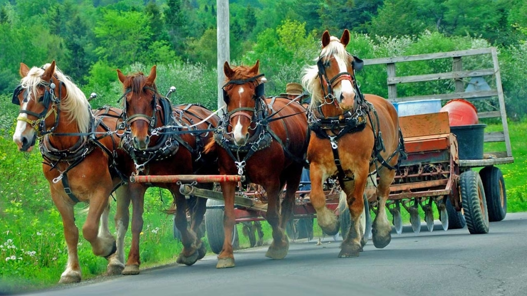 What Is There To Do In Houlton Maine Photos And Video Activities