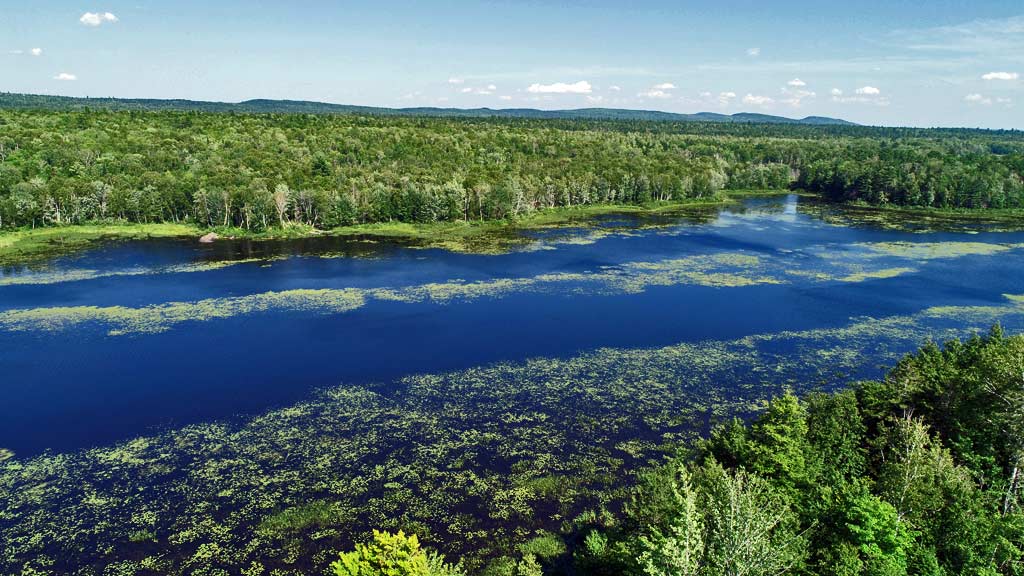 120 Horseback Road, Danforth, ME Mooers Realty