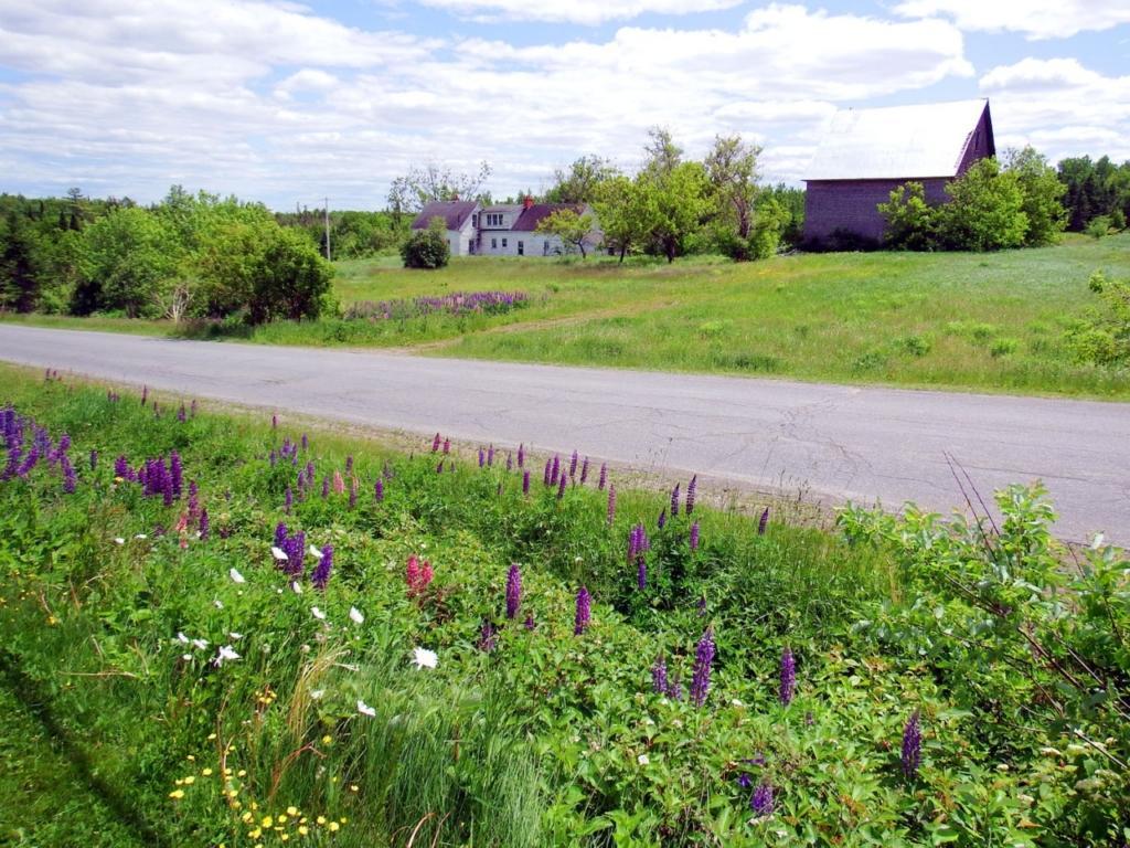 Country Living, Maine Rural Communities Offer Unspoiled Space.