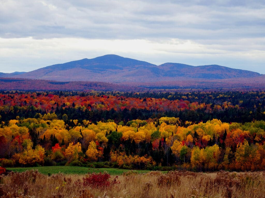 maine fall foliage colors