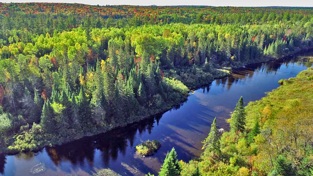 leased land unorganized woods camp in maine