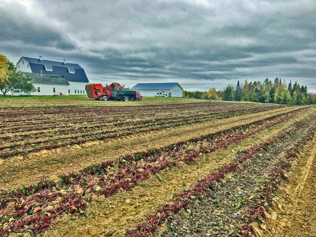 maine farms in rural communities