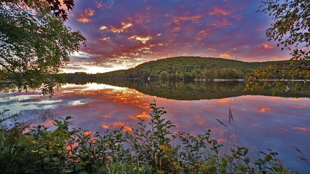 early morning maine lake
